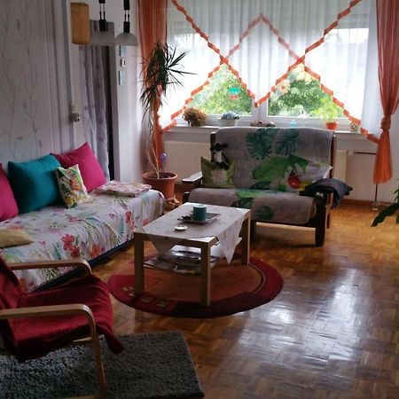 Апартаменти Haus-In-Gemuenden-An-Der-Wohra Gemunden an der Wohra Екстер'єр фото