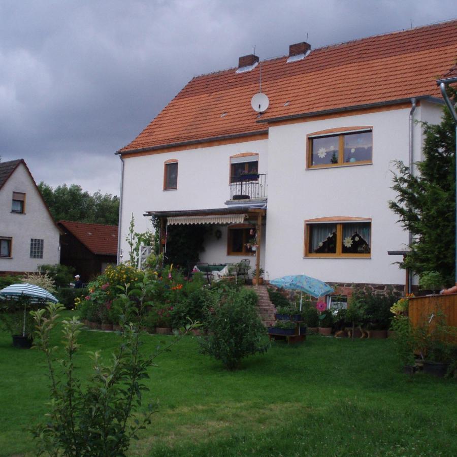 Апартаменти Haus-In-Gemuenden-An-Der-Wohra Gemunden an der Wohra Екстер'єр фото